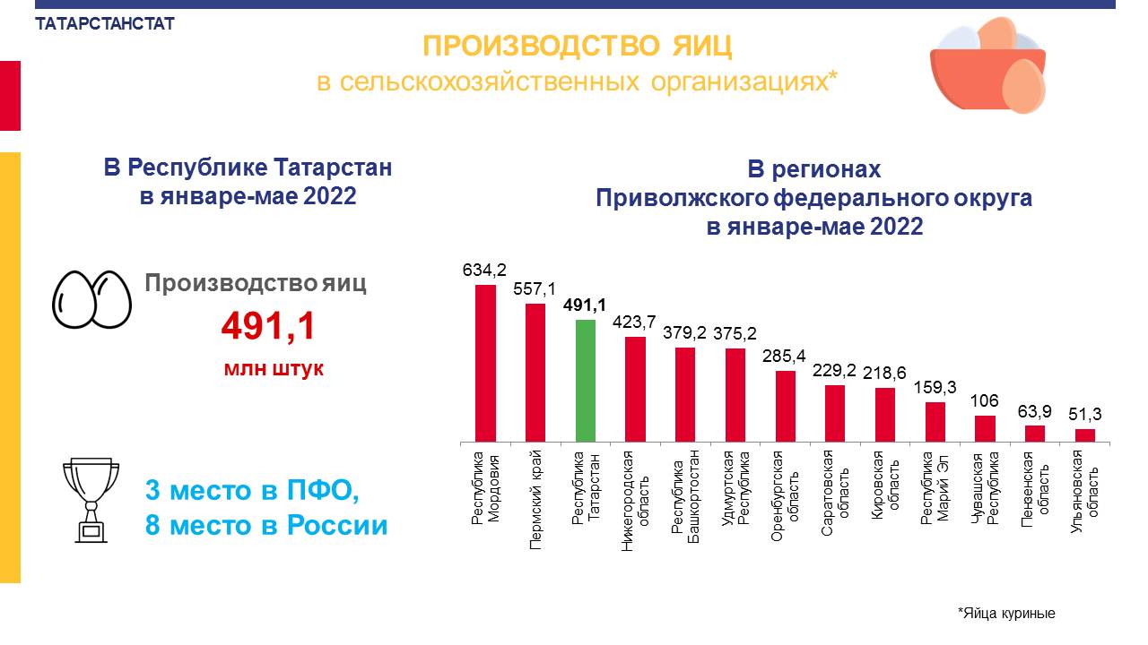 Производится в республике татарстан. Производство яиц в Мордовии 2022. Татарстанстат 2022 сельскохозяйственная продукция.